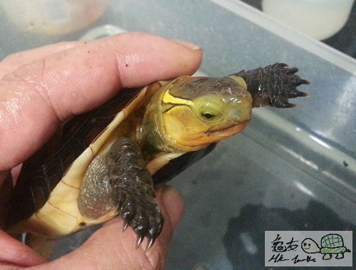 複製 -20140925_173243.jpg