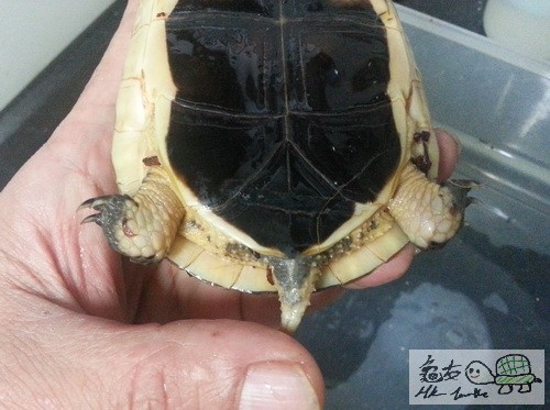 複製 -20140925_175828.jpg