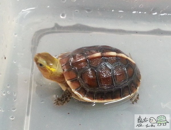 複製 -20141028_143141.jpg