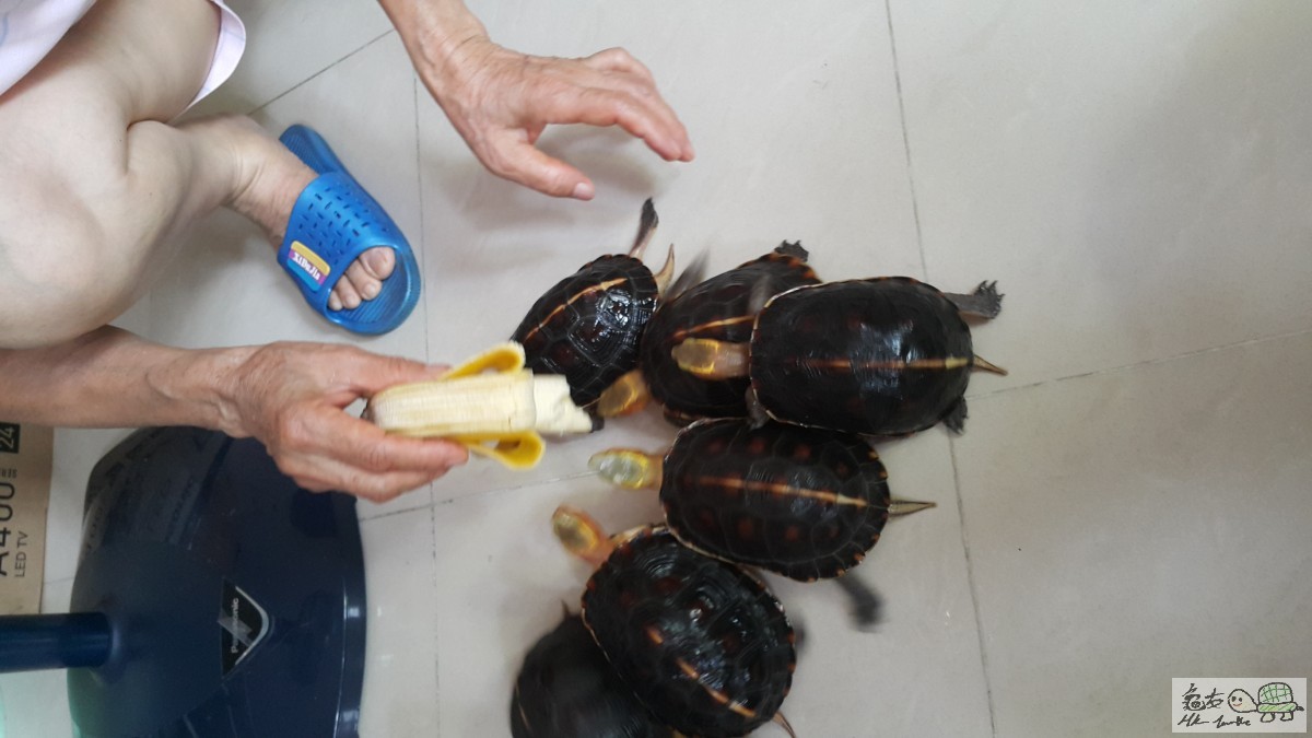 20150613_150619.jpg