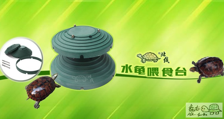 007水龟喂食台_750_400.jpg