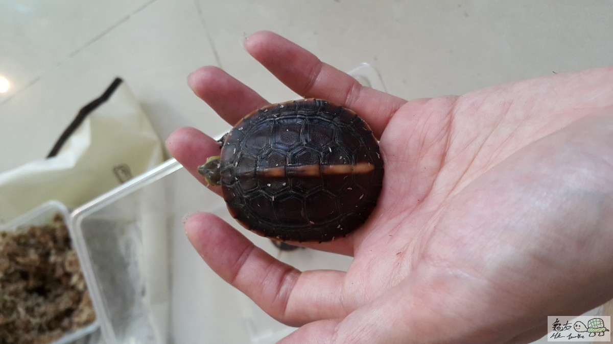 20150627_155156.jpg