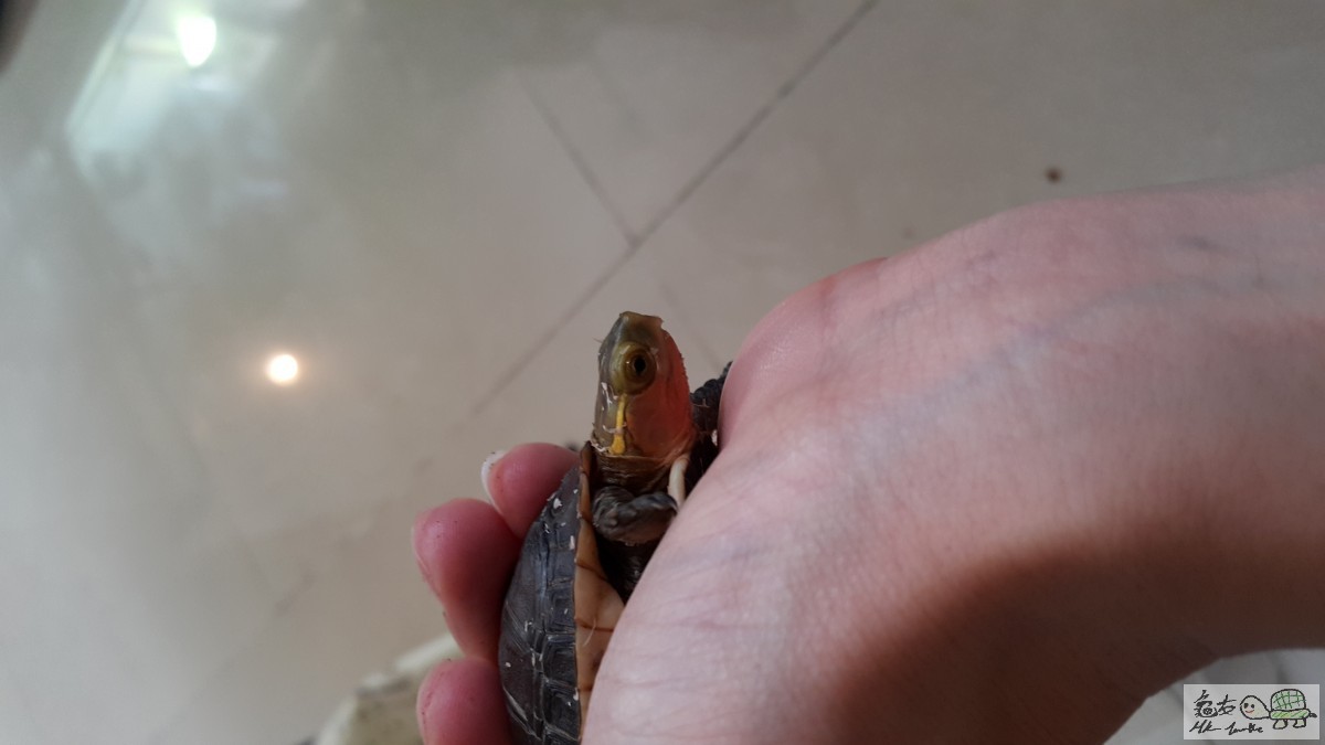 20150627_155127.jpg