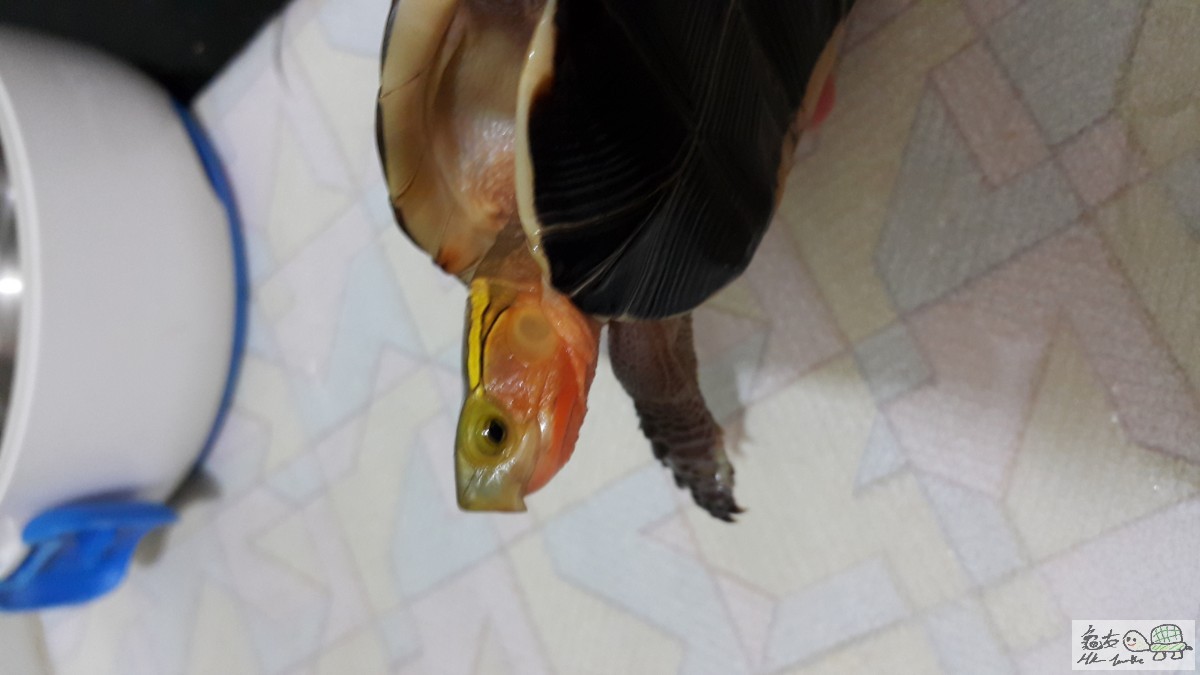 20150619_194439.jpg