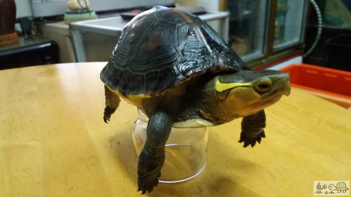 20150707_200348.jpg