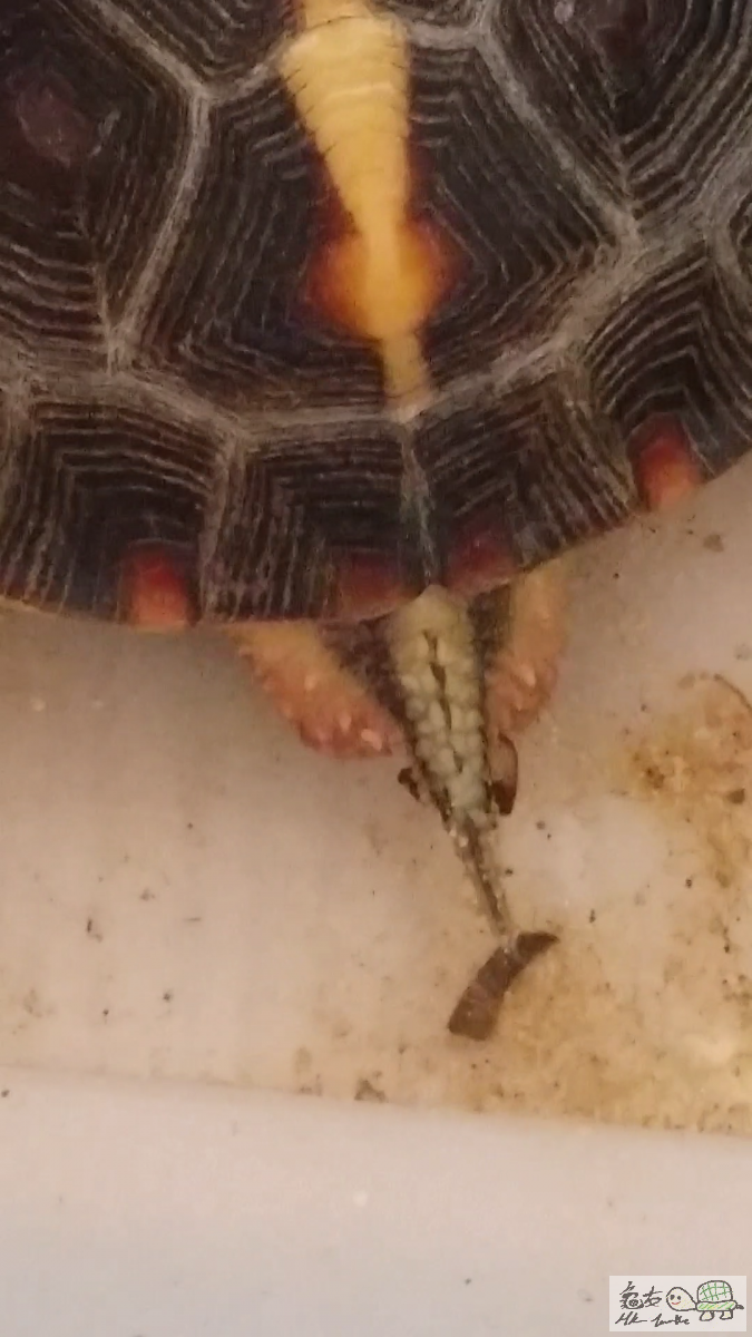 2015-07-11 01.49.00.png