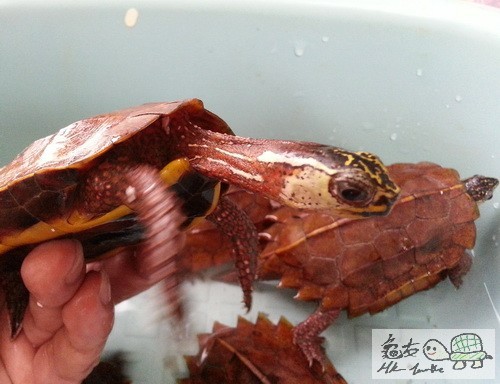 複製 -20150713_171124.jpg