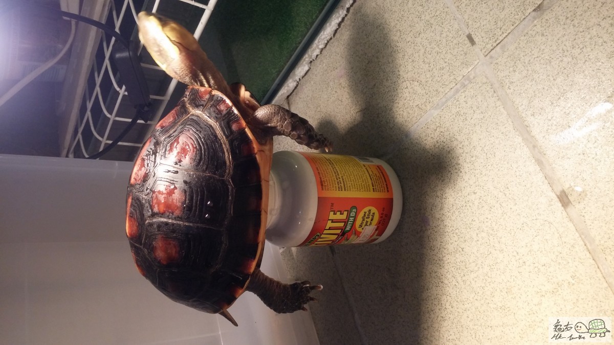 20150713_211237.jpg