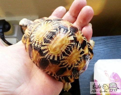 複製 -20150416_172952.jpg