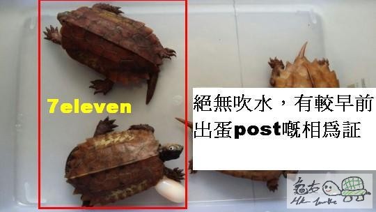 211013cvbbqtudzaoo34wr.jpg.thumb (1).jpg