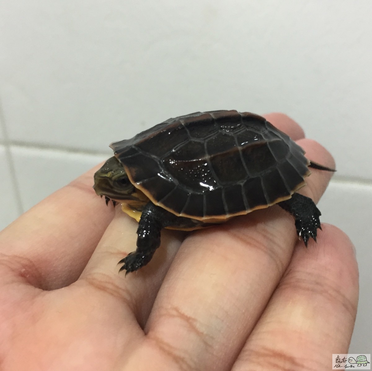 FullSizeRender 8.jpg