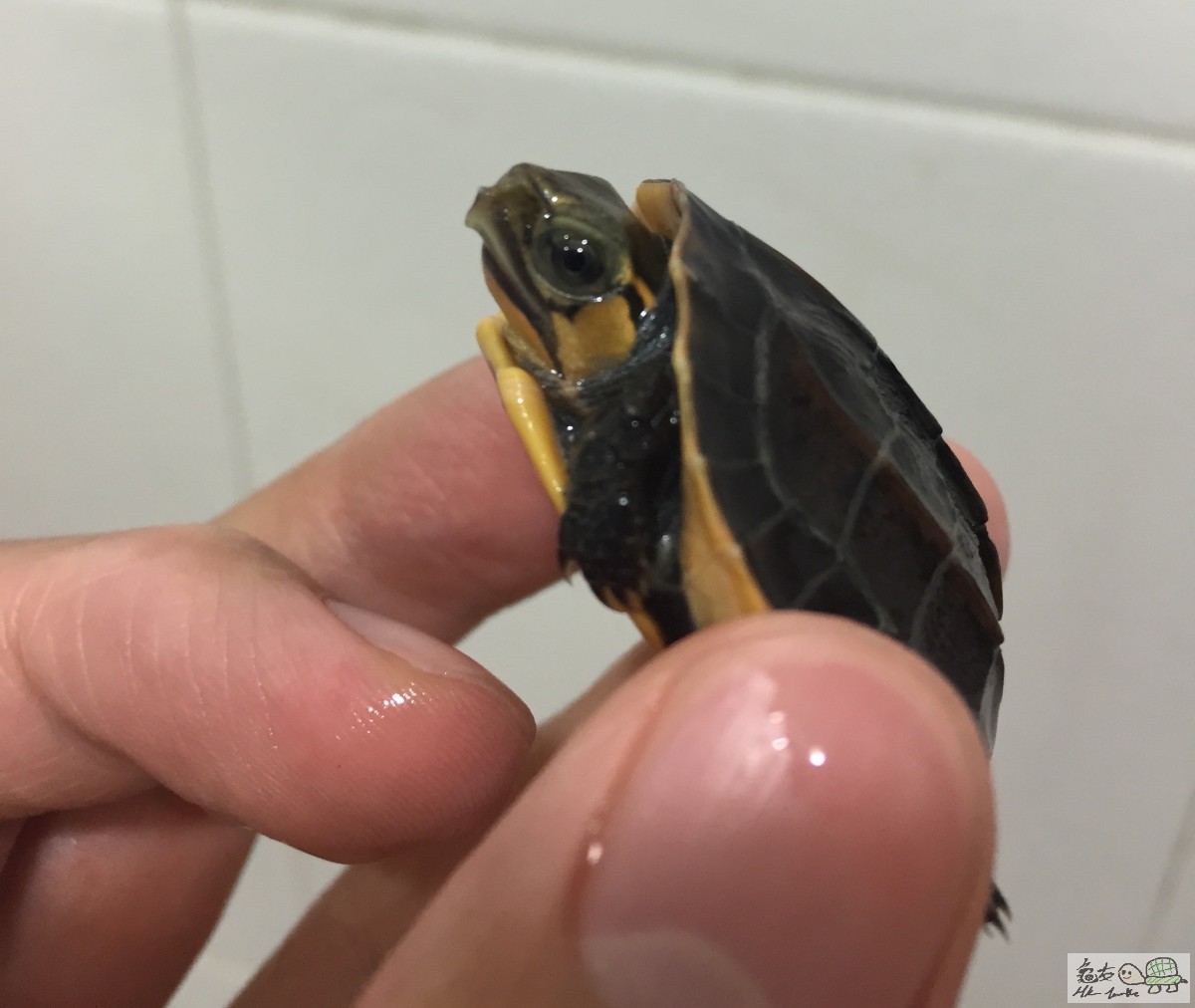 FullSizeRender 9.jpg