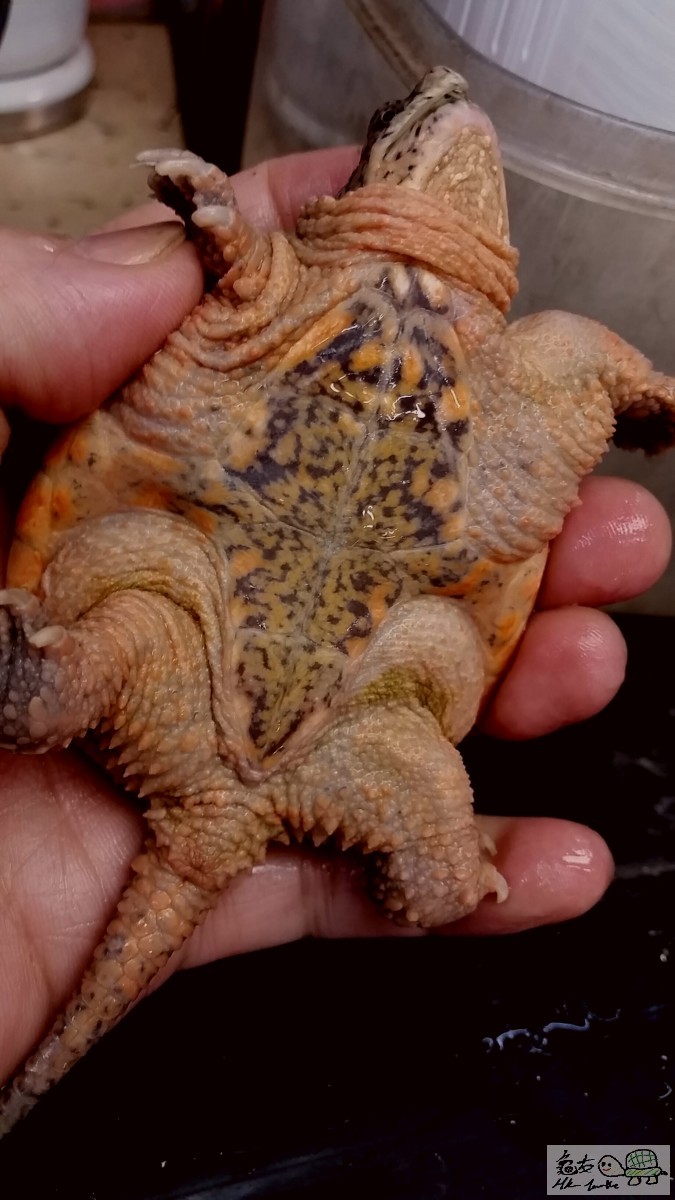 2015-08-28 00.49.52.jpg