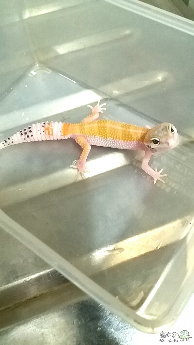 2015-09-19 13.47.12.jpg