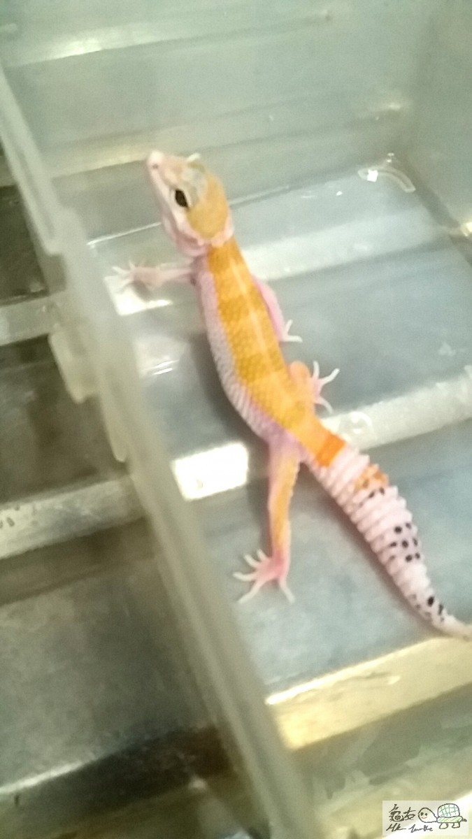 2015-09-19 13.46.29.jpg