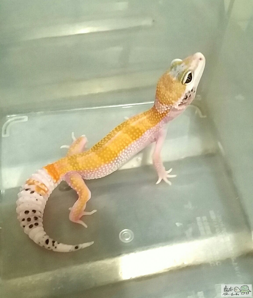 2015-09-18 00.28.46.jpg