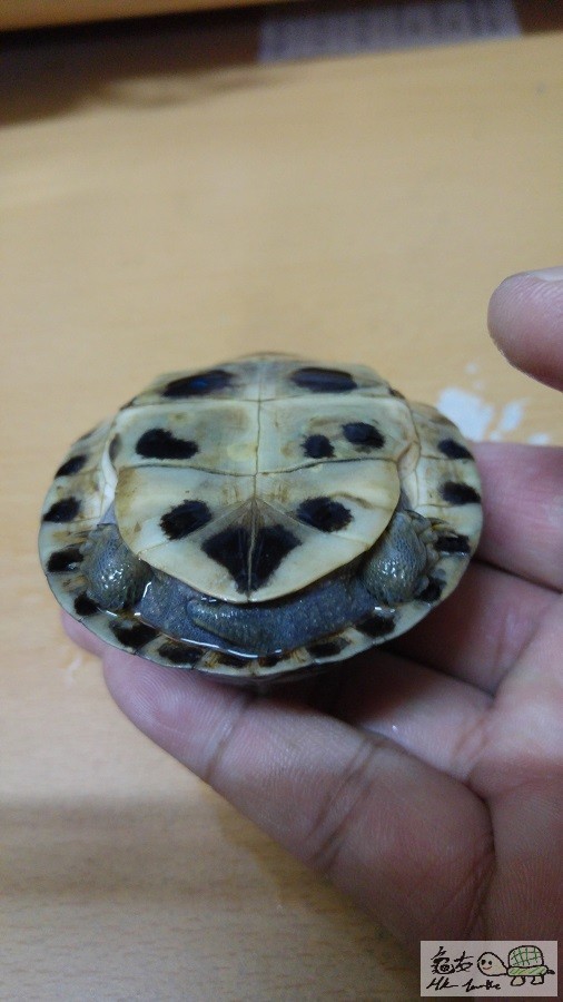 20151001_213147.jpg