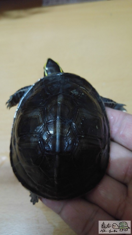 20151001_213157.jpg