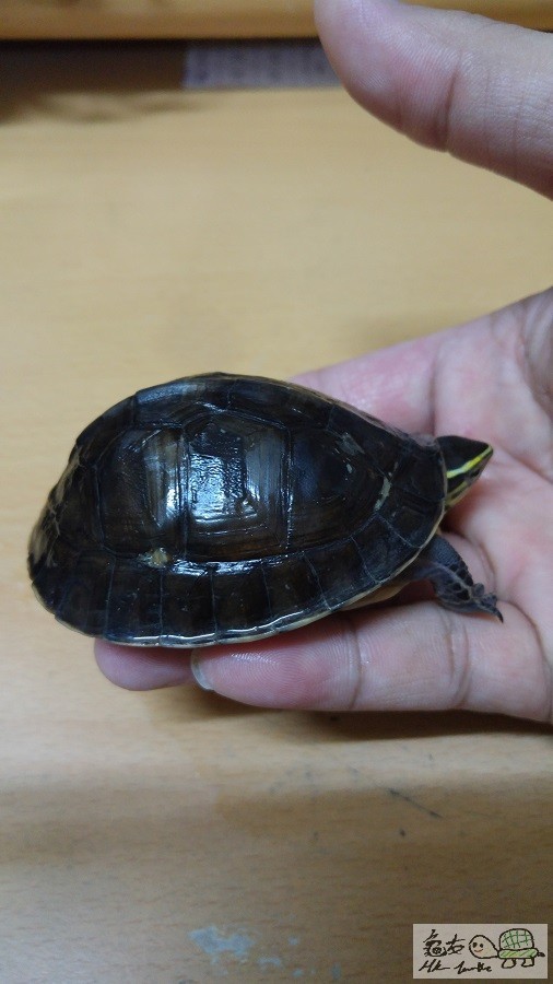 20151001_213220.jpg