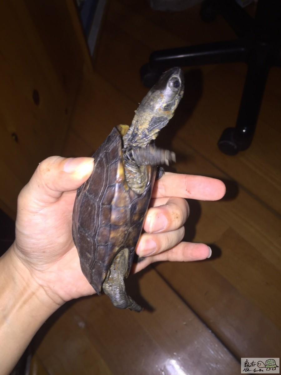 20151115081016 (1).jpg