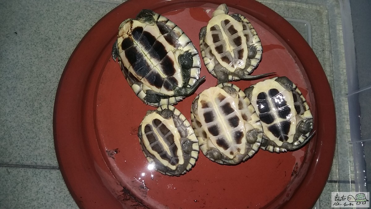 20151115_171237 - 複本 .jpg