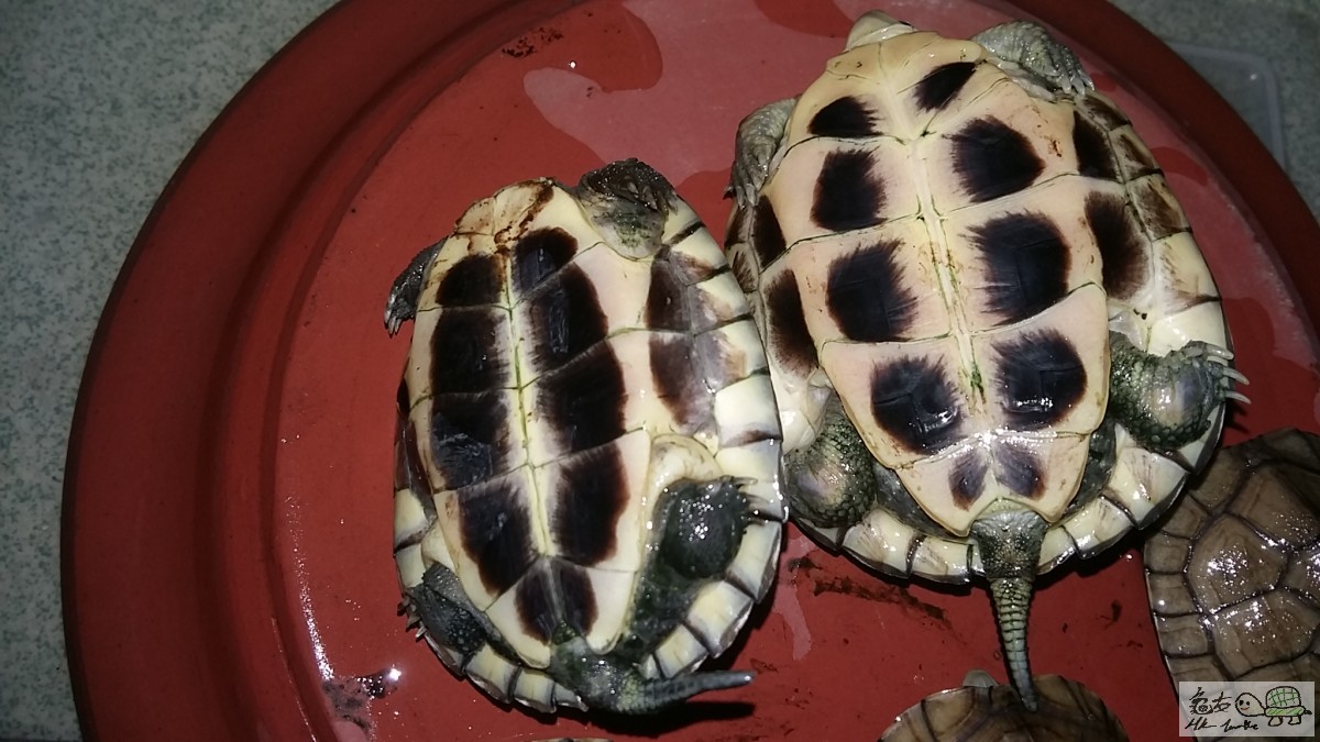 20151115_171256 - 複本 .jpg