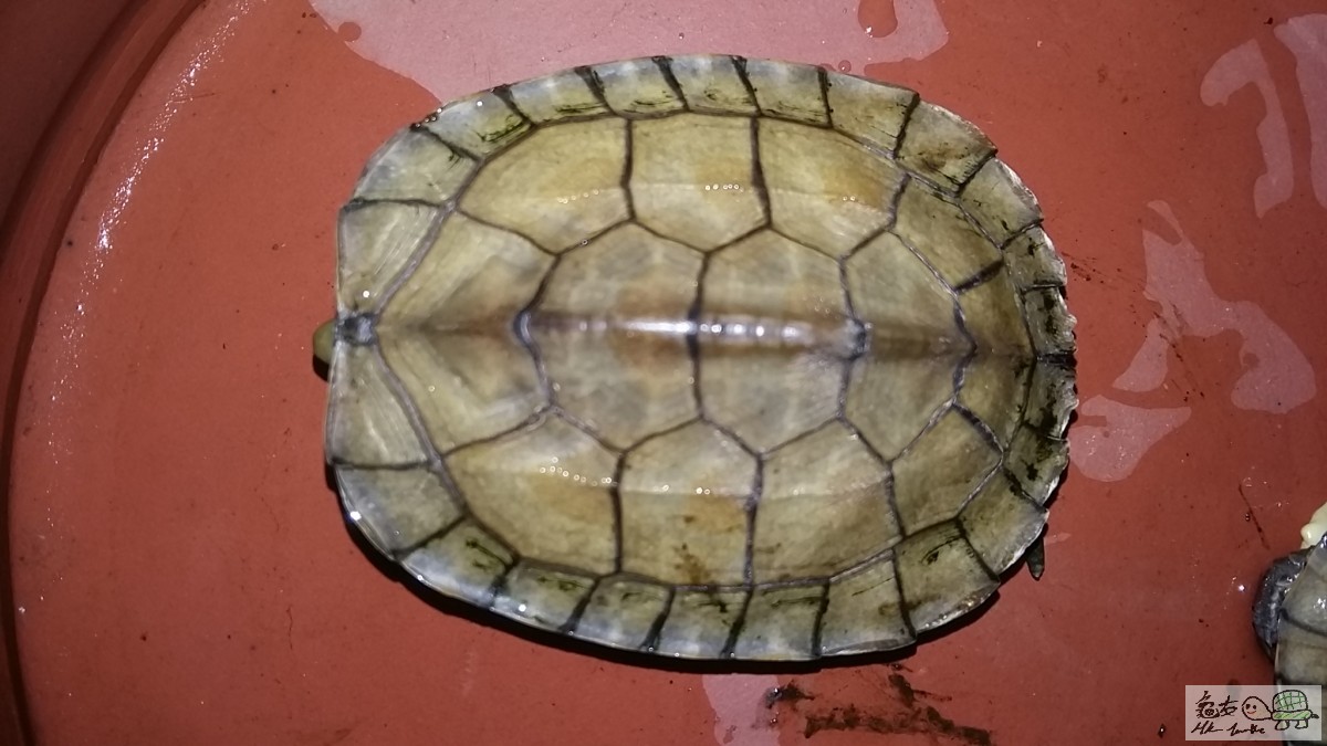 20151115_171419 - 複本 .jpg