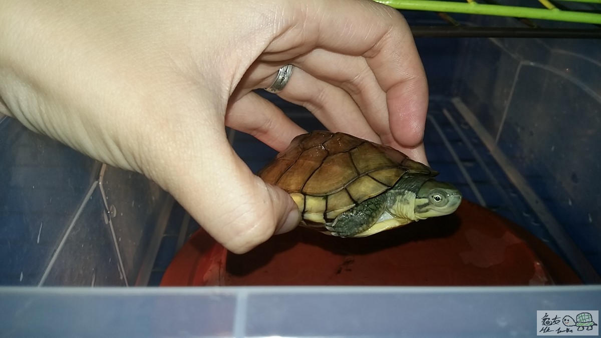 20151115_171643 - 複本 .jpg