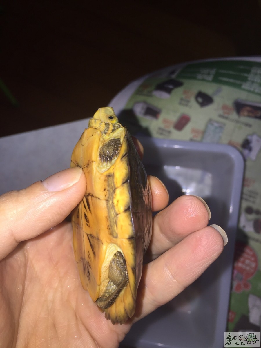 20151211234358 (1).jpg