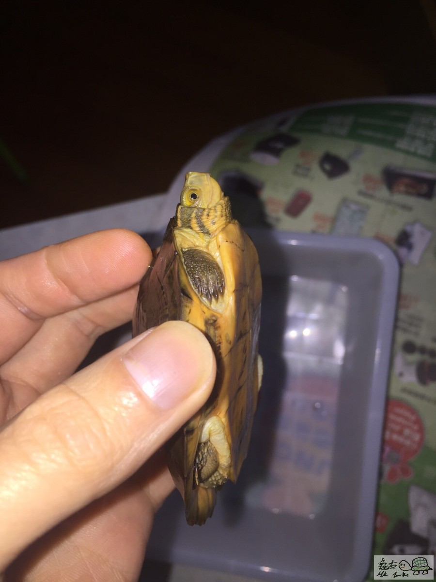 20151211234359 (1).jpg