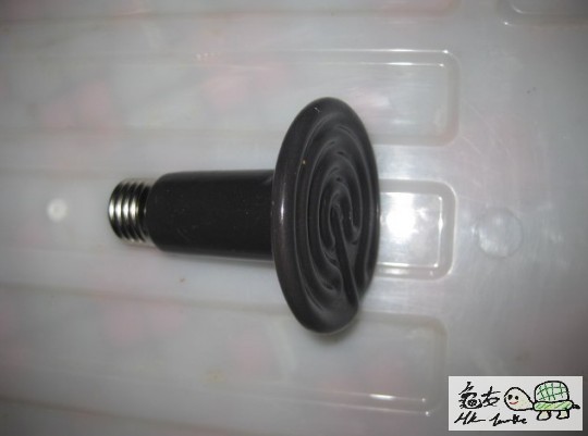013042n9albi6s1xisq3zl.jpg.thumb.jpg