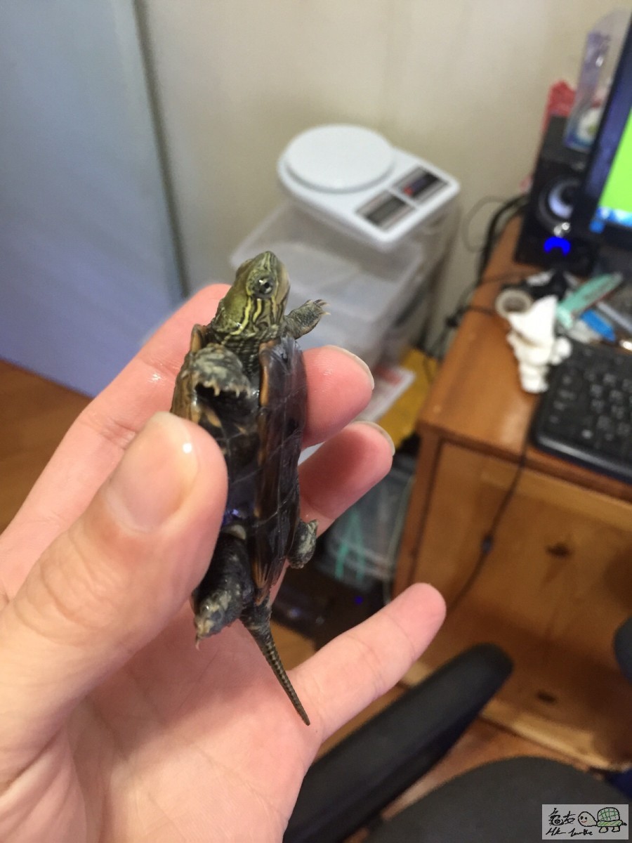 20151219094526 (1).jpg