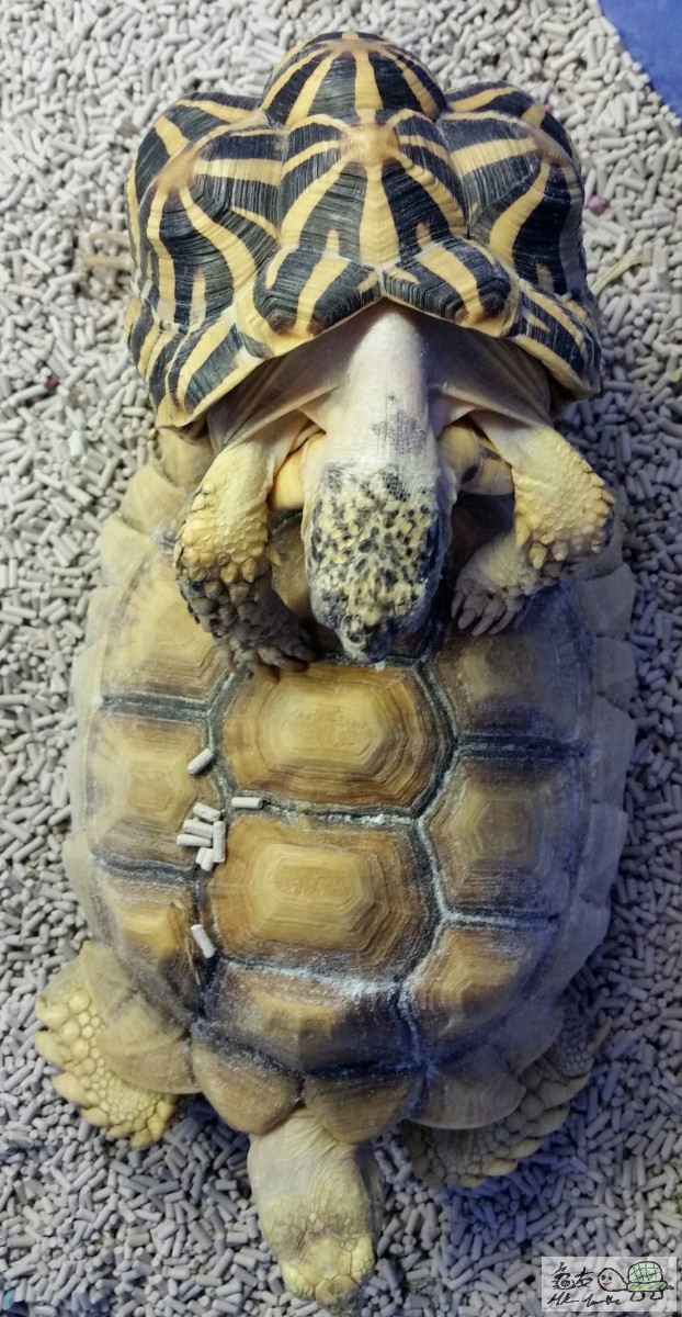 2015-12-22 22.14.37.jpg