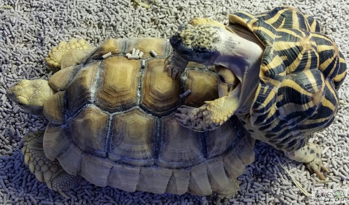 2015-12-22 22.13.45.jpg