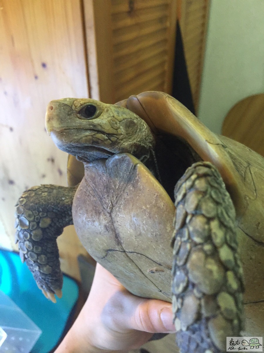 20151231102138 (1).jpg