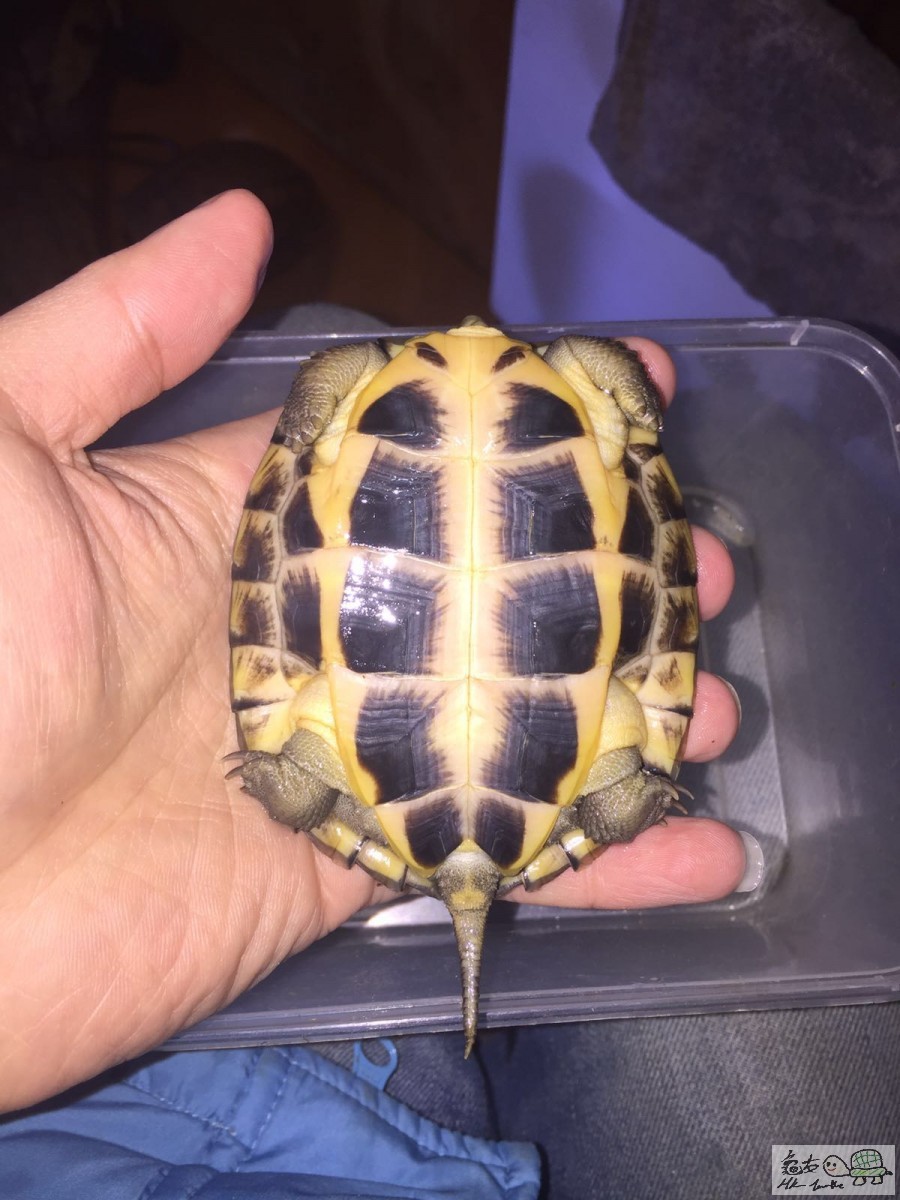 20160128052113 (3).jpg