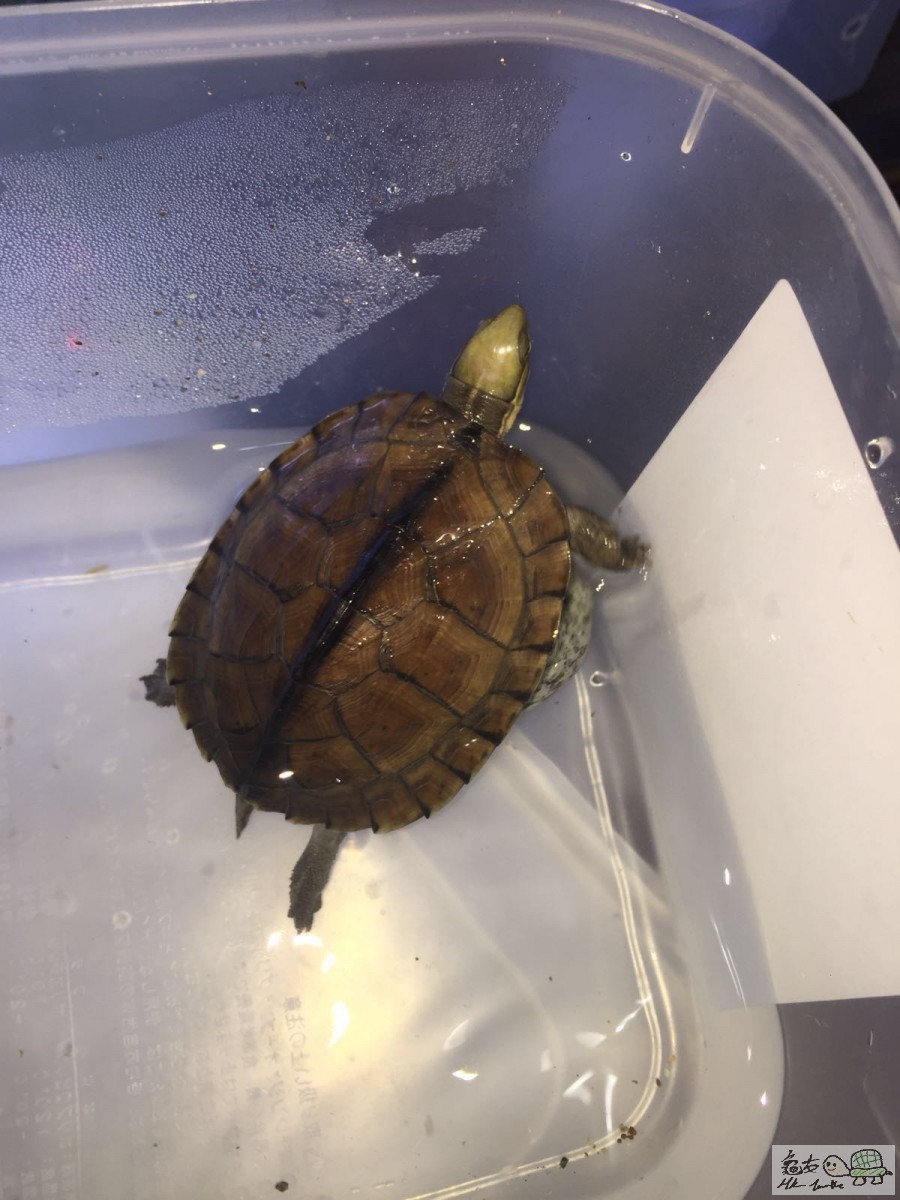 20160128052114 (2).jpg