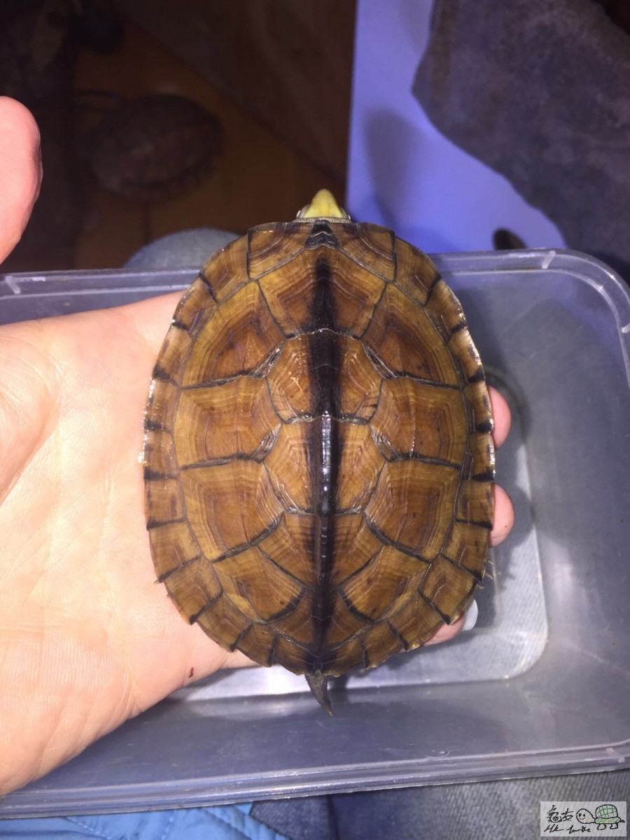 20160128052114 (3).jpg