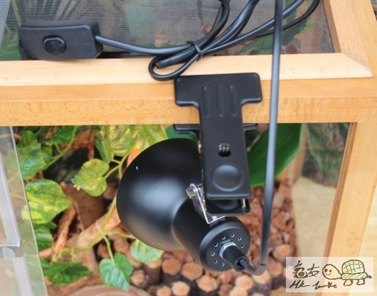 small lampshade 02.jpg