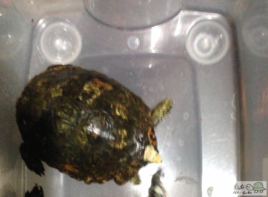 2016-02-08 12.38.00.png