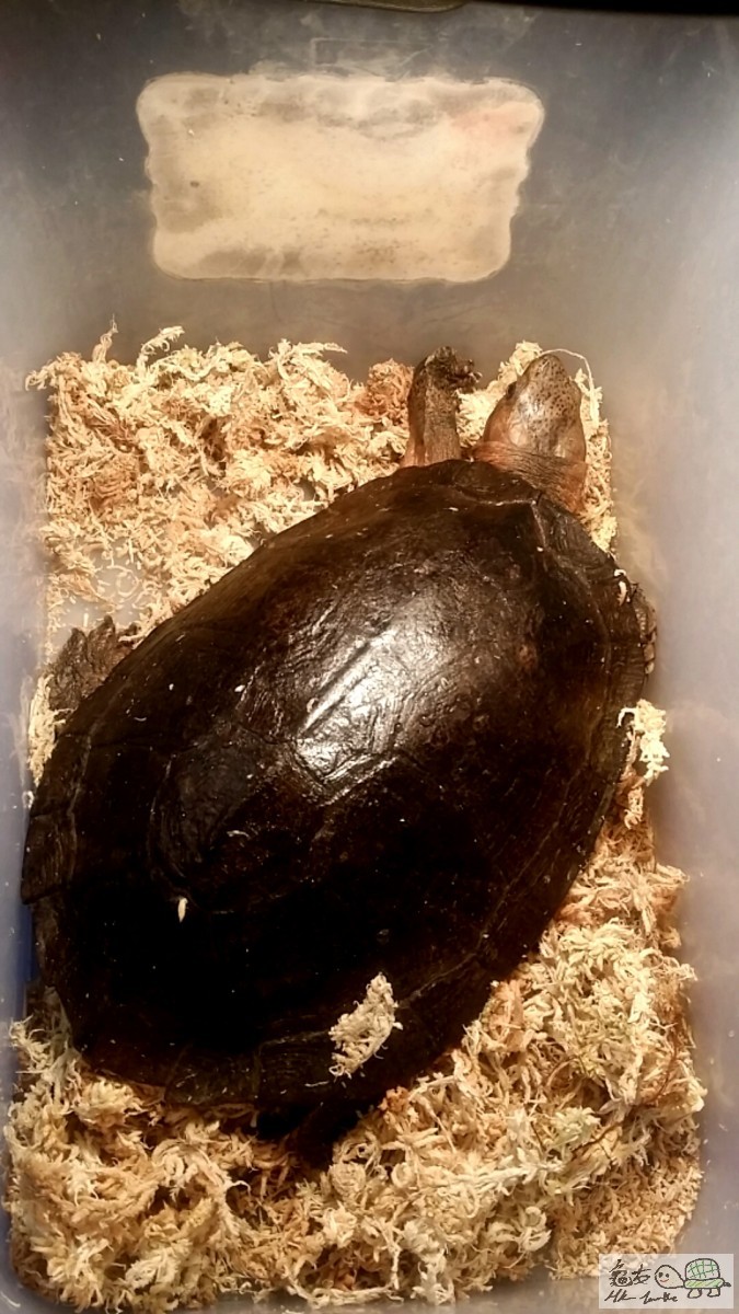 2016-02-21 03.06.50.jpg