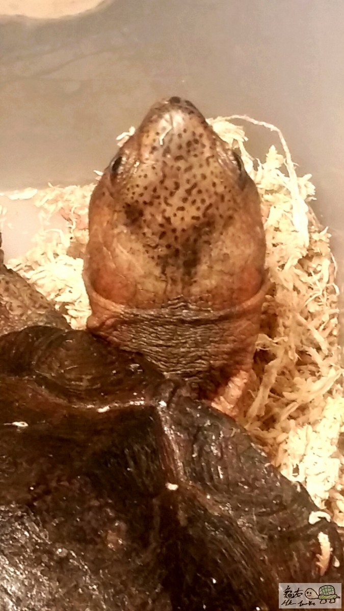 2016-02-21 03.07.27.jpg