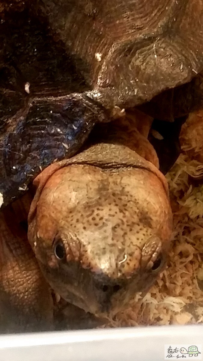 2016-02-21 03.08.55.jpg