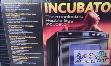 Screen Shot 2016-03-05 at 1.30.14 pm.png