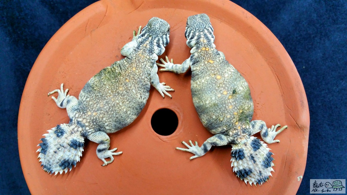 2016-03-17 20.28.49.jpg