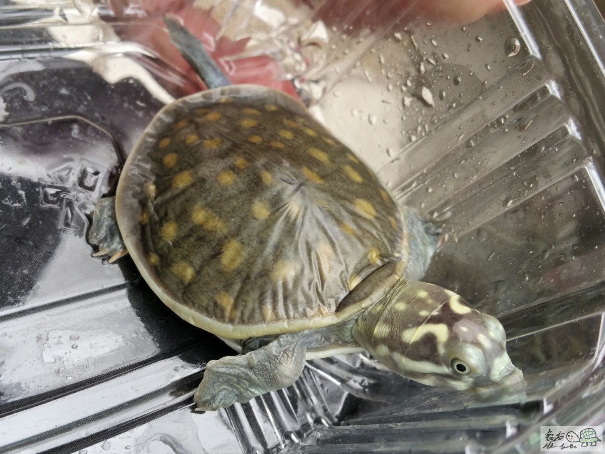 2016-03-24 00.19.16.jpg