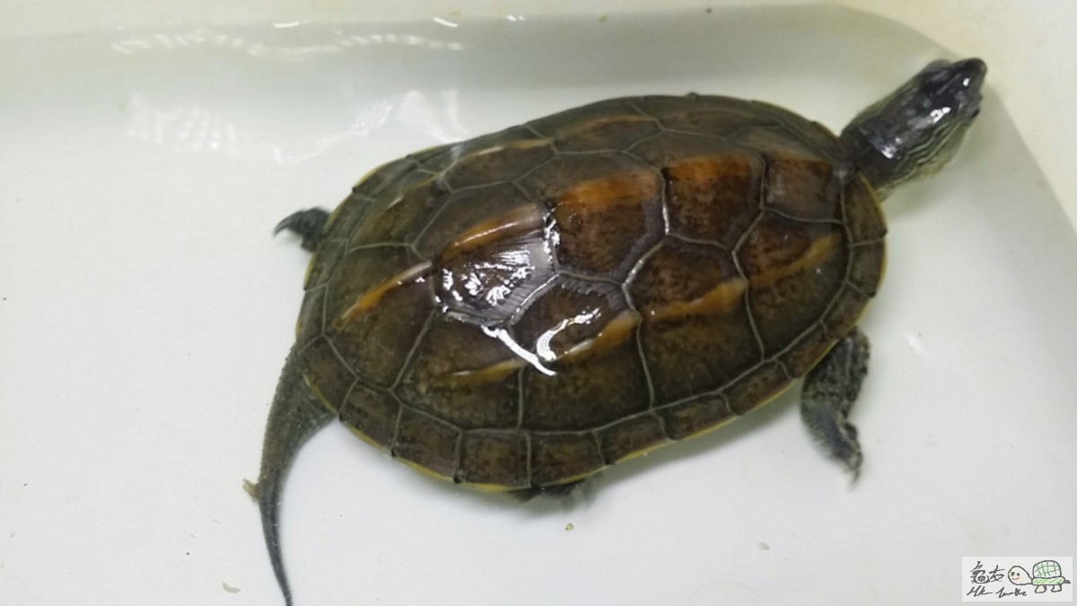 2016-03-27 13.25.42.jpg