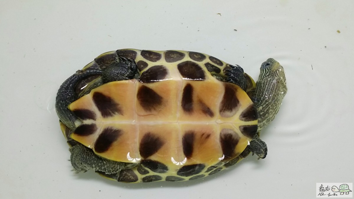 2016-03-27 13.26.21.jpg