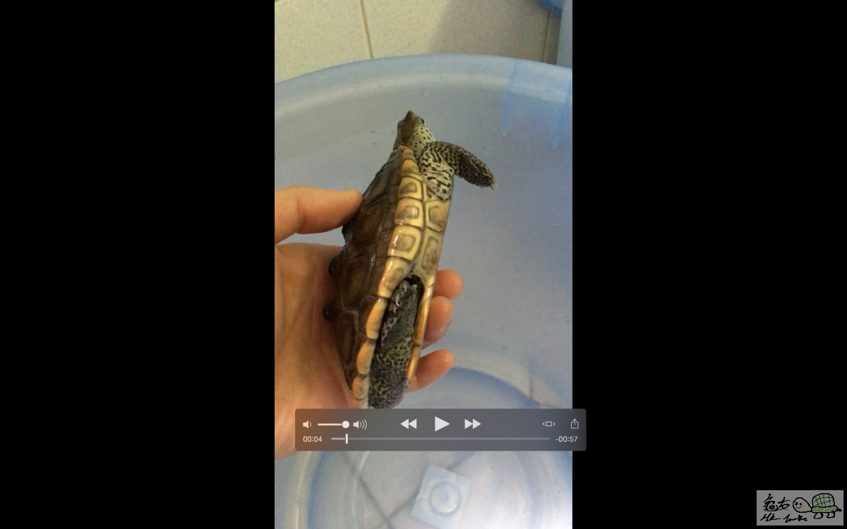 螢幕快照 2016-04-07 14.56.28.png