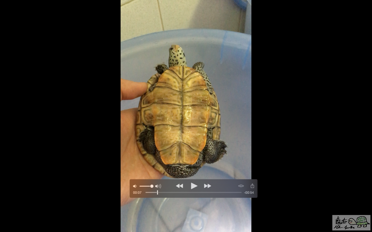 螢幕快照 2016-04-07 14.56.34.png